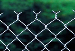 Residential Sites Standard Galvanized Chain Link Fencing 50mm/BWG 14 0