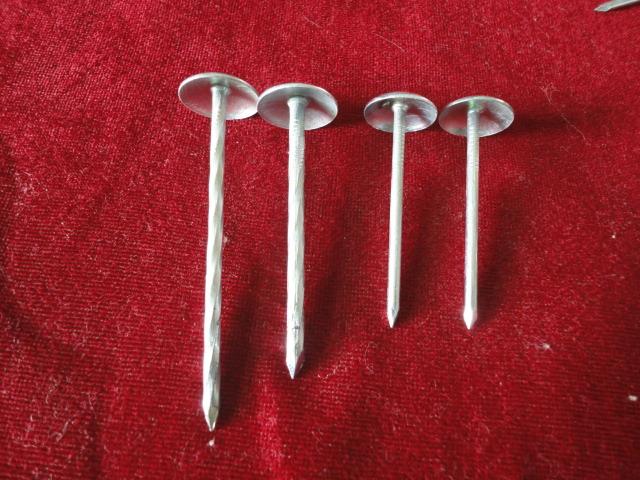 12 Gauge Common Wire Nails , 1 1/4" Ring Shank Galvanized Roofing Nails