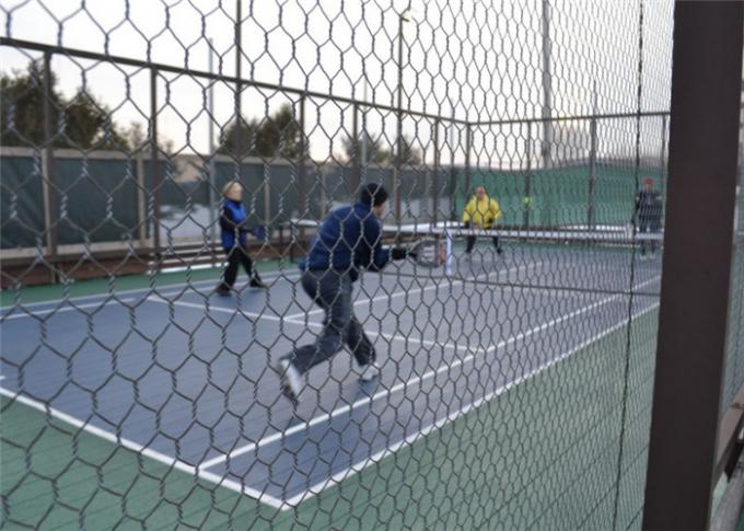 Paddle Tennis Hexagonal Wire Netting for tennis court , and electric grid bumper cars 0