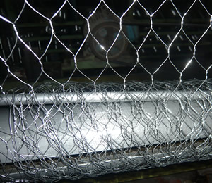 Garden Fence Stainless Steel Chicken Wire Mesh 1/2'' With Hexagonal Gaps 0