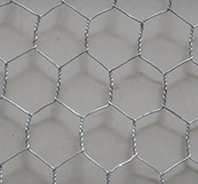 Agriculture Hexagonal Chicken Wire Mesh / Galvanised Wire Netting 50m Roll 1