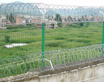Security Galvanized Steel Razor Barbed Wire Fence , Razor Sharp Wire 7