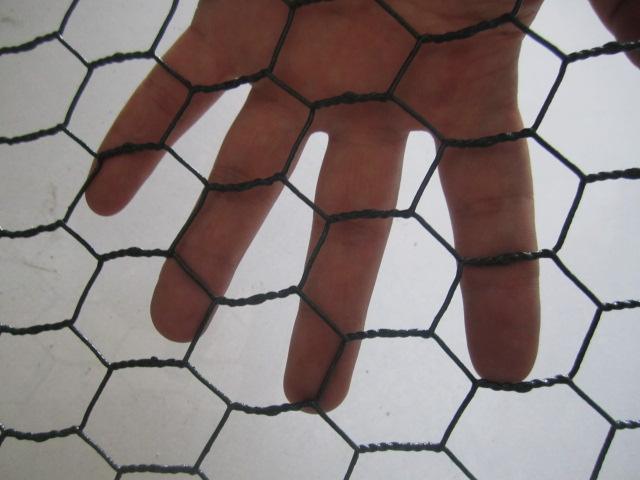 Green 6005 Vinyl Coated Hexagonal Wire Netting , 25mm Galvanized Mesh For Poultry
