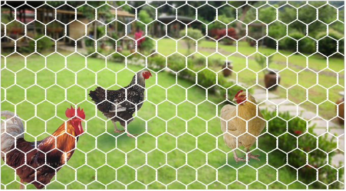 13mm  Pvc Coated Chicken Wire Mesh 1m 1.5m 2.0m Width 0.7mm Dia 0