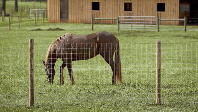 Rust Resistance Hot Dipped Galvanized Steel Cattle Wire Fence With CE 0