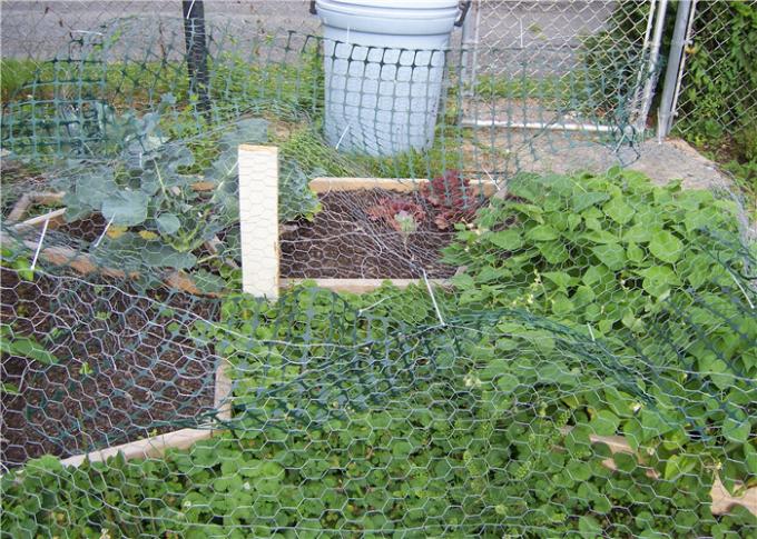 Hexagonal galvanised Chicken Wire Netting Coops 25mm black annealed binding wire 0