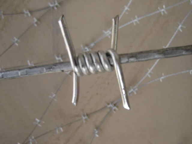 Cattle 12 Gauge Barbed Wire Fence Hot - Dipped Galvanized With Single Strand 0