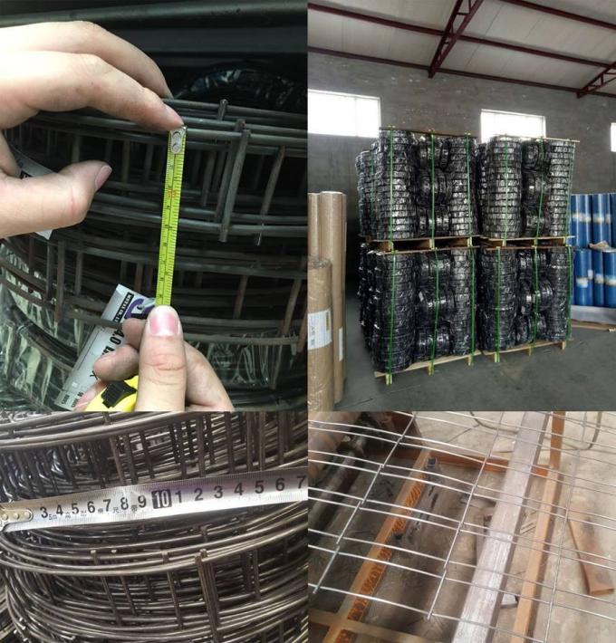 Size 5cmx15cm Welded Wire Mesh Roll 2.2mm For Building CE SGS Listed 0