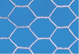 Hot - Dipped Galvanized Chicken Wire Netting 13mm/BWG23 For Bird Cages / Craft 0